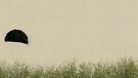 How to Get Your Money Back from an Online Casino