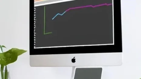 How to Build a Successful Online Casino Business